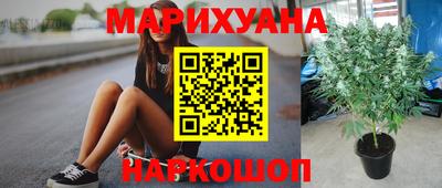 ГАЛЛЮЦИНОГЕННЫЕ ГРИБЫ Бийск