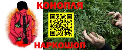 спиды Будённовск