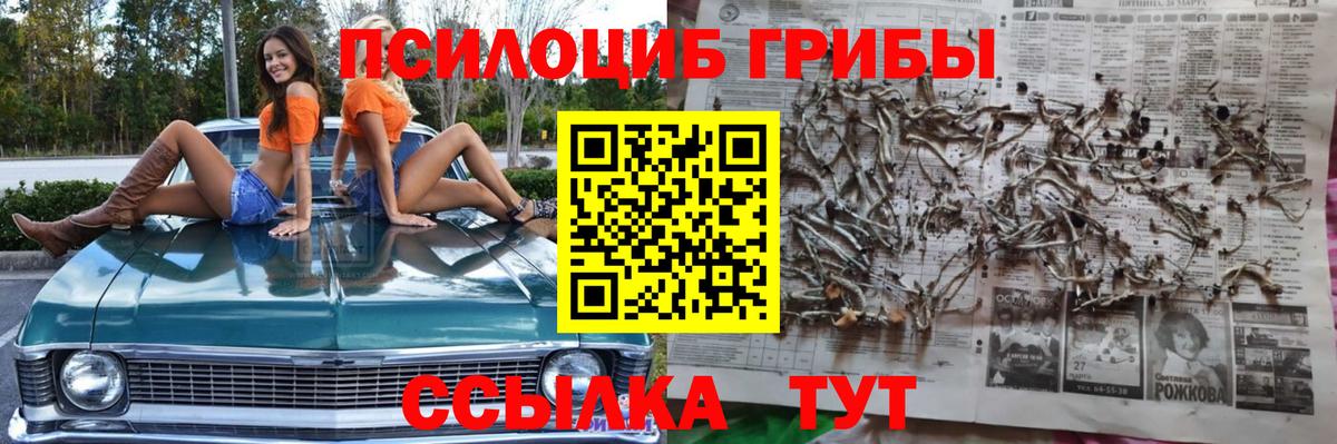 Псилоцибиновые грибы GOLDEN TEACHER  Галлюциногенные грибы Cubensis  Алапаевск 