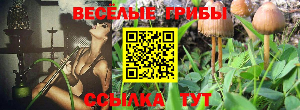Галлюциногенные грибы ЛСД  Вход с VPN  Алапаевск  Галлюциногенные грибы MAGIC MUSHROOMS 